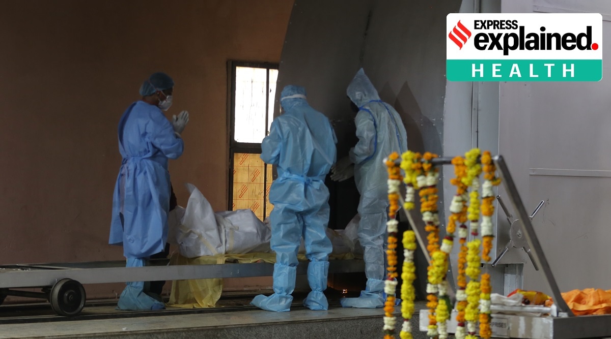 covid 19, coronavirus, covid 19 in india, coronavirus in india, covid 19 cases in india, covid 19 deaths in india, covid 19 death cases, covid 19 deaths numbers, coronavirus deaths, coronavirus death numbers in india, coronavirus cases in india