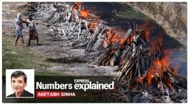 covid 19, coronavirus, covid 19 in india, coronavirus in india, covid 19 cases in india, covid 19 deaths in india