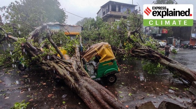 Damage caused by cyclone-induced storm in Ahmedabad (PTI Photo)