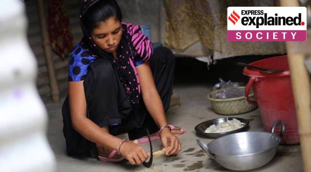 Domestic workers, unpaid care work, Unpaid domestic work, Inequalities in Domestic work, Domestic workers in India, Express Explained, Explained Society