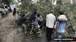 Cyclone Tauktae, Cyclone Tauktae batters Gujarat, Three dead in Gujarat, Cyclone Tauktae deaths in Gujarat, Vijay Rupani, Gujarat government, IMD, Cyclone Tauktae effect, Indian express