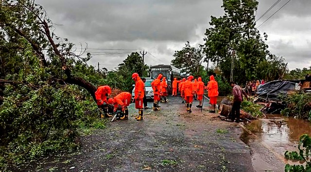 Gujarat: NDRF personnel clear a road, obstructed by felling of trees, after Cyclone Tauktae made landfall, in Gujarat. (PTI)