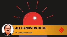 Opinion 3 no alt set