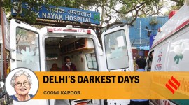 Opinion 3 (13) no alt set