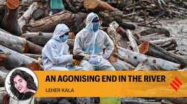 Opinion 5 (17) no alt set