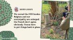 A local farmer moves France and Belgium border, Farmer makes Belgium bigger, Belgium get bigger, France gets smaller, Belgium and French border moved, Trending news, Bizarre news, Indian Express news.