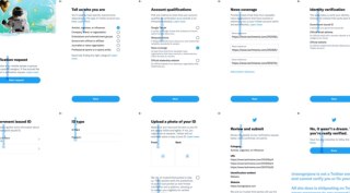 Twitter, Twitter verification, Twitter verification process, Twitter verification form, Twitter blue tick, Twitter tick