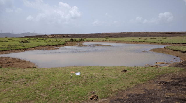 Rock pools form during monsoon season along the Western Ghats.