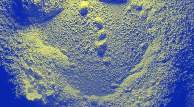 contagion, science gallery exhibition, art exhibition, contagion news, science gallery exhibition, indianexpress.com, indianexpress, pandemic covid, coronavirus art exhibition, online art exhibition,