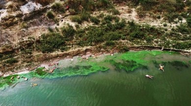 bodies floating ganga. Bihar dead bodies ganga, bihar covid news, dead bodies in ganga, UP dead bodies ganga, floating bodies covid, buxar ganga bodies flotaing, chausa, indian express