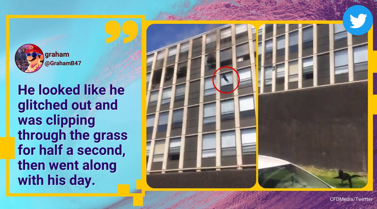 cat jumps out of burning building, cat survives jump from fifth floor, chicago flying cat out of building, chicago fire dept flying cat video, indian express