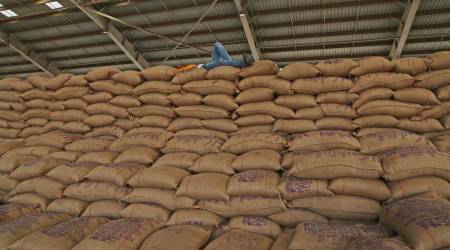 According to GSCSCL data, 99 per cent farmers who have sold their chana to government has been paid their dues by the government. (Express Photo by Jasbir Malhi) 