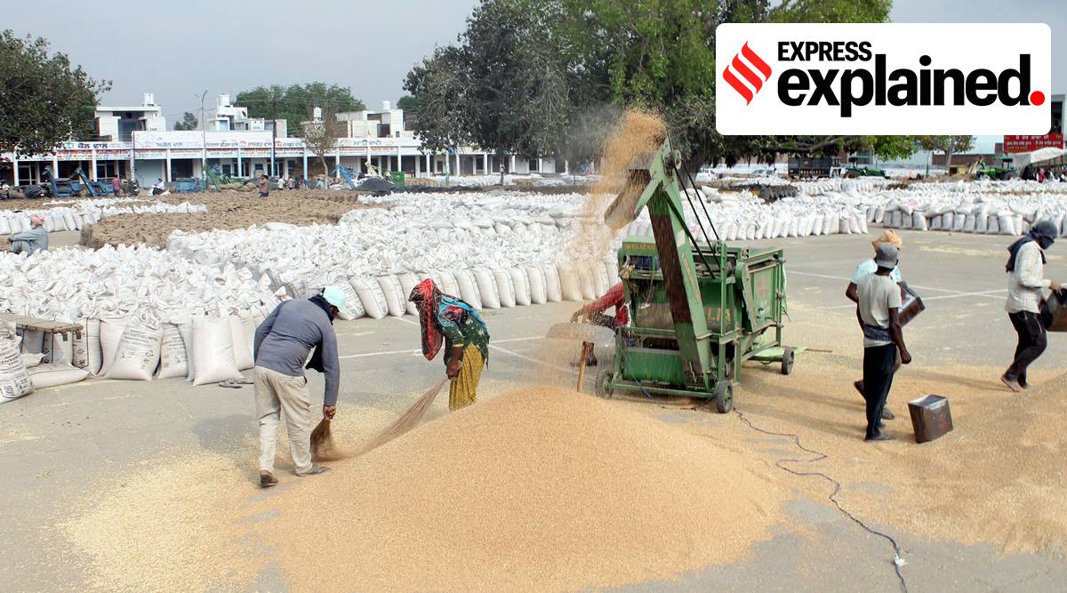 Explained, rice export, wheat export, export, Pradhan Mantri Garib Kalyan Anna Yojana, agricultural exports, indian express explained, indian express