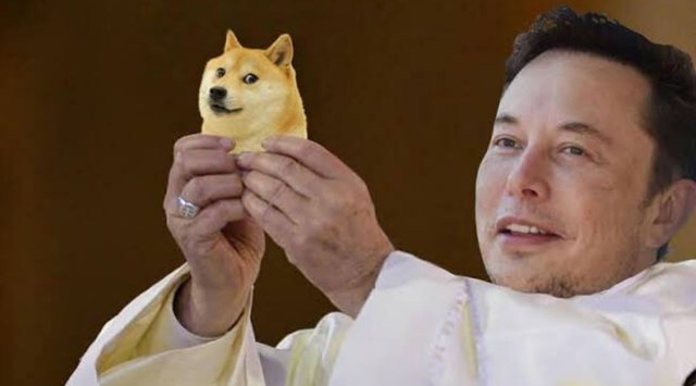 elon musk, saturday night live, elon musk snl, elon musk dogecoin, dogecoin snl, dogecoin price surge, musk doge snl memes, viral news, Trending news, indian express news