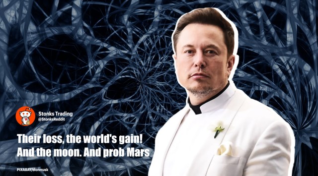 elon musk, elon musk tweets, tesla, elon musk bitcoin, Nova Scotia bank, elon musk internship viral tweet, trending, indian express, indian express news