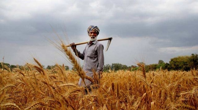 Farmers
