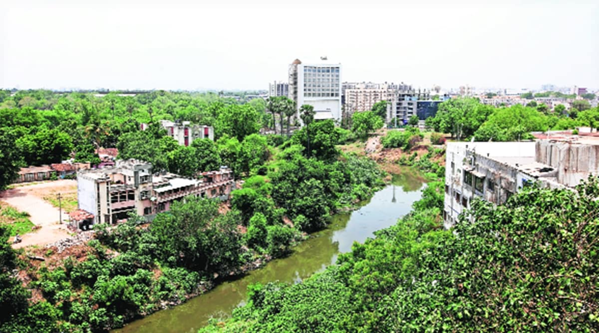 Gujarat: Vishwamitri River Project Gets Green Tribunal'S Go-Ahead | Cities  News,The Indian Express