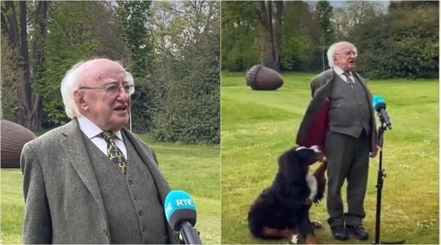 irish president dog, Michael D. Higgins, Michael D. Higgins pets dog during interview, irish president dog demand attention, viral video, indian express