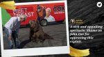 john cox, john cox bear campaign, California governor recall election, john cox ad campaign, cox tag bear ad, indian express