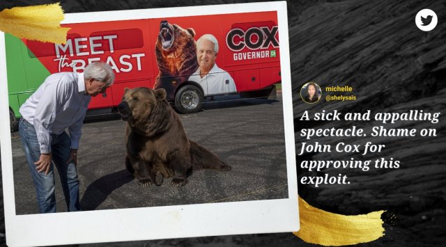 john cox, john cox bear campaign, California governor recall election, john cox ad campaign, cox tag bear ad, indian express