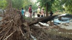 Storm plunges Mohali into darkness; PSPCl exposed, say former councillors