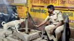 Varanasi, Varanasi cop, policeman gives water to dog viral picture, IPS Sukirti Madhav, twitter news, good news, trending, indian express, indian express news