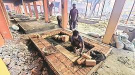 punjab covid death, punjab cremation ground, punjab covid cases, Amritsar covid deaths, Amritsar covid cases, Amritsar covid cremation ground, Indian express