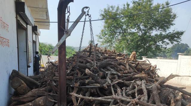 Wood collected for pyres at Bhadbhada Vishram Ghat in Bhopal. (Express photo by Iram Siddique)