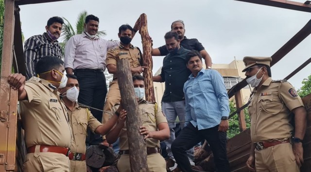 sandalwood seized in pune