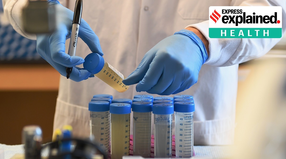 Explained How the UK is testing sewage to detect the presence of Covid