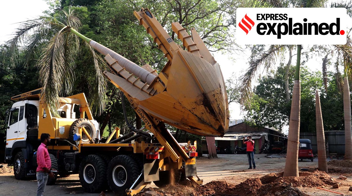 Experts say the transplantation of trees is a complex and delicate process whose outcome cannot be predicted. (Express Photo: Deepak Joshi, File)