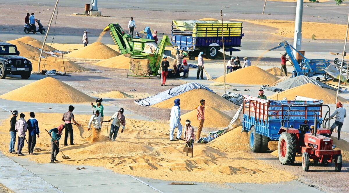 Punjab, wheat procurement