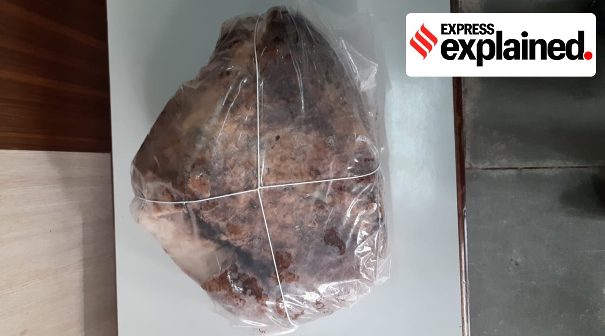 The Mumbai Police has seized nearly 9 kg of Ambergris over the last fortnight.