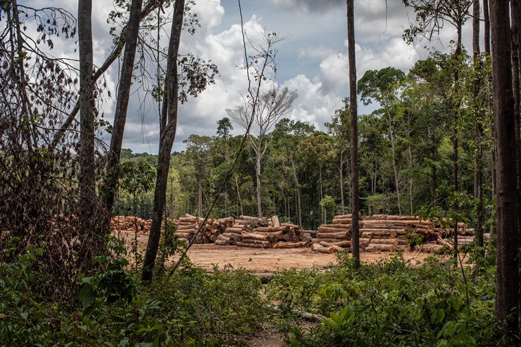 Brazil, besieged by Covid, Now faces a severe drought | World News ...