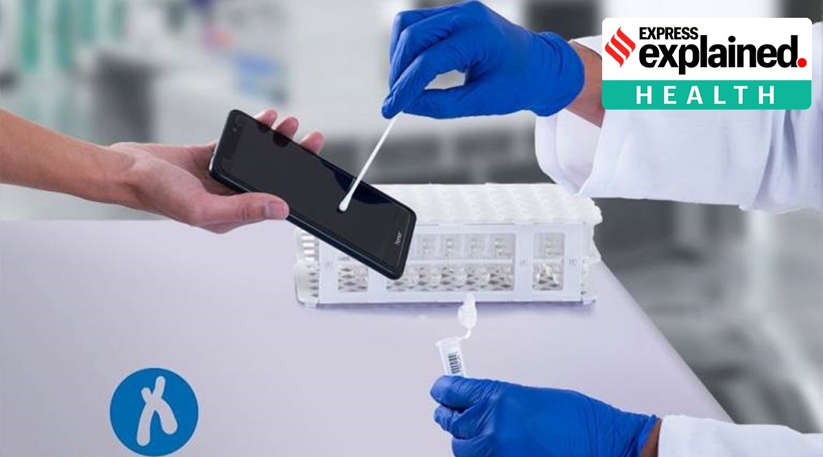 University College London researchers carried out the study at Diagnosis Biotech, a Chilean start-up headed by lead author Dr Rodrigo Young. (Credit: Diagnosis Biotech via UCL)

