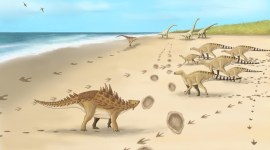 dinosaur, dinosaur extinction, dinosaur extinction clues, crater dinosaur extinction, crater's age dinosaur extinction, dinosaur extinction news,