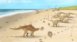 dinosaur, dinosaur extinction, dinosaur extinction clues, crater dinosaur extinction, crater's age dinosaur extinction, dinosaur extinction news,