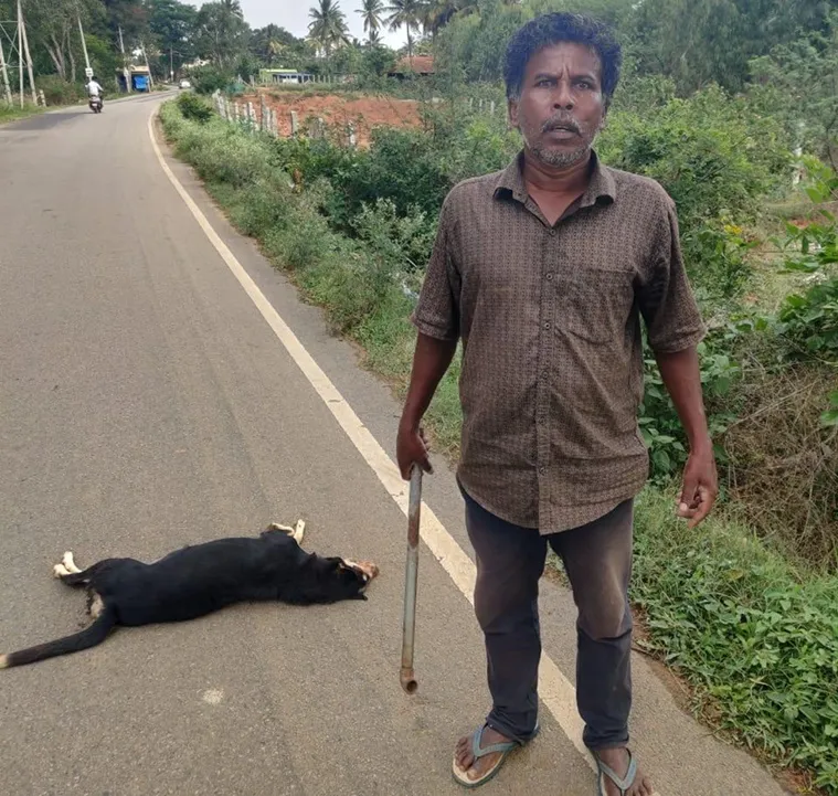 Bengaluru: Man booked for beating stray dog to death | Cities News,The  Indian Express