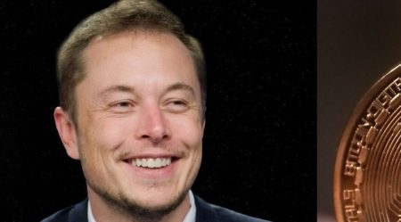 elon musk bitcoin, elon musk tweet