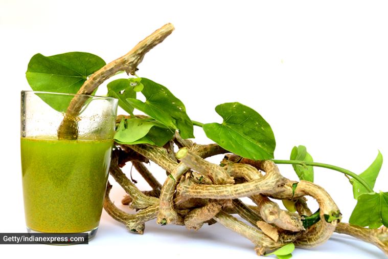 immunity booster, how to boost immunity naturally, essential herbal ingredients, herbal ingredients to strengthen immunity, health and immunity, natural ways to improve immunity, indian express news