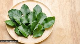 Jamie Oliver, Jamie Oliver news, Jamie Oliver to stop calling lime leaves 'Kaffir lime leaves', Jamie Oliver and 'Kaffir lime leaves', indian express news
