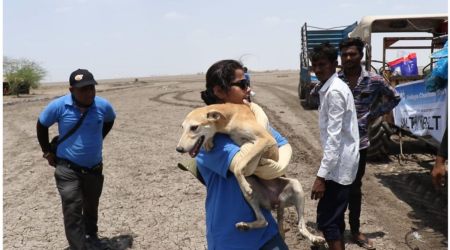 Volunteers rescue a dog from Little Rann of Kutch. (Express)