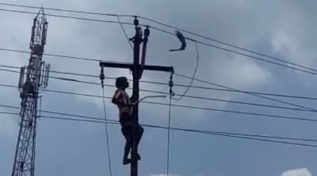 A video grab of Dilip Vaghela trying to rescue a pigeon in Arvalli village.