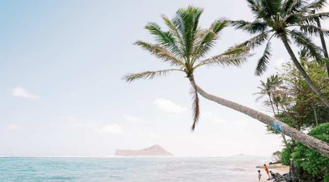 pandemic travels, hawaii, vaccines, vaccinated travelling, hawaii, travelling, indian express, indian express news