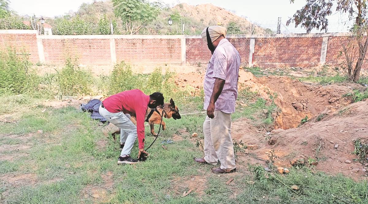 Man's headless body found near Punjab CM's farmhouse at Siswan | India News,The Indian Express