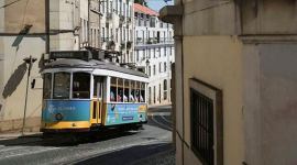 yellow trams of Lisbon, trams of Lisbon, Portugal trams, Paulo Marques restoring trams, Paulo Marques Lisbon, tram restoration, indianexpress.com