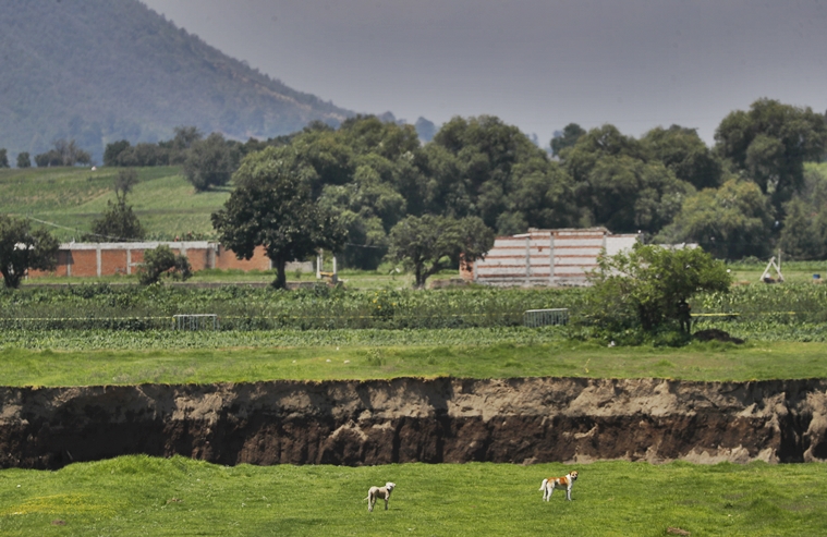 Sumidero en granja de México se traga más tierra, come en casa