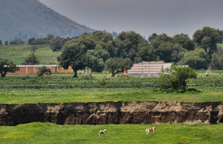 Sumidero en granja de México se traga más tierra, come en casa