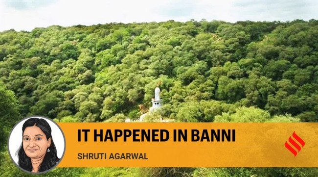 Today — similar to the Banni grasslands — our forests are grappling with degradation, an important contributor to GHG emissions.