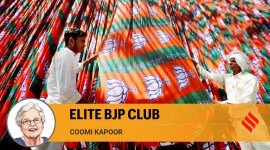 Opinion 3 (35) no alt set